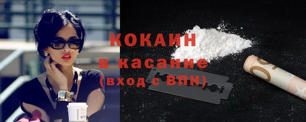 хмурый Абаза