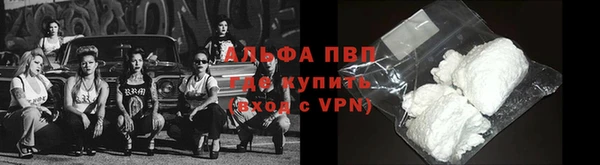 хмурый Абаза