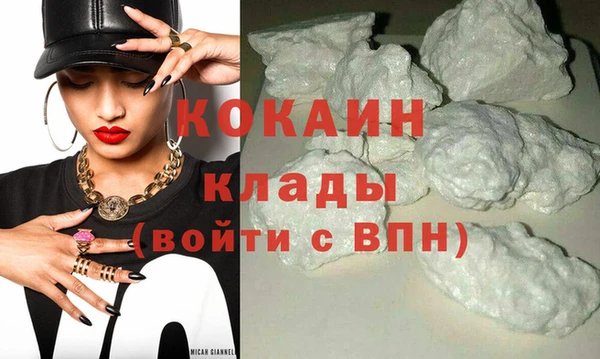 хмурый Абаза