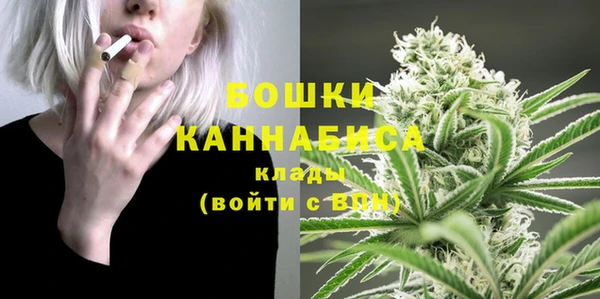 PSILOCYBIN Россошь