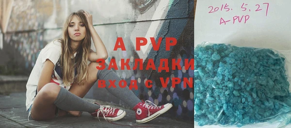 хмурый Абаза