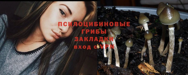 PSILOCYBIN Россошь