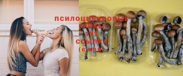 мет Рославль