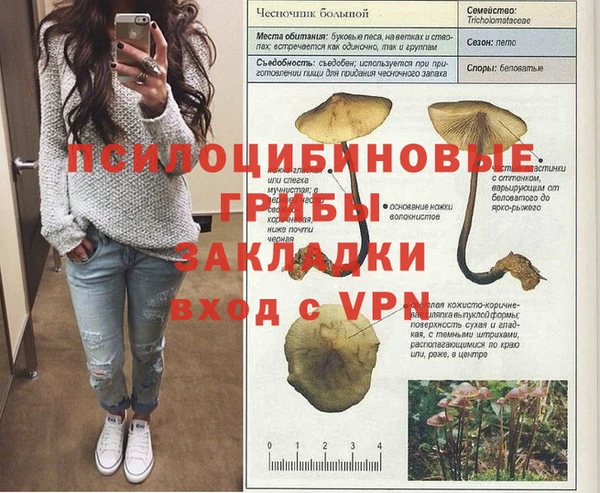 ГАЛЛЮЦИНОГЕННЫЕ ГРИБЫ Ростов
