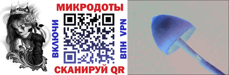 наркотики  Отрадное  Псилоцибиновые грибы Magic Shrooms 
