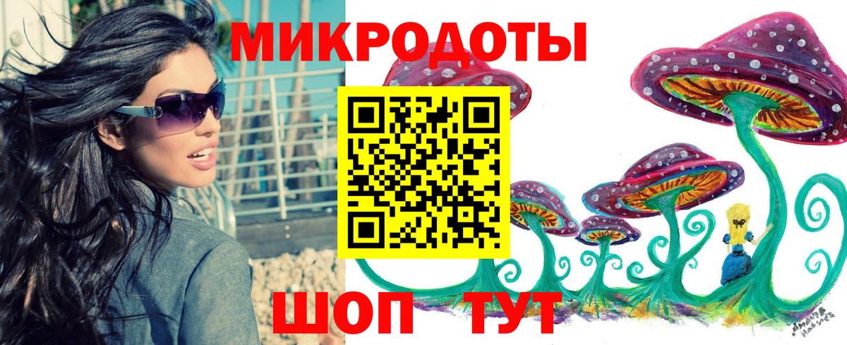 Отрадное  Галлюциногенные грибы Psilocybine cubensis  Вход с VPN 
