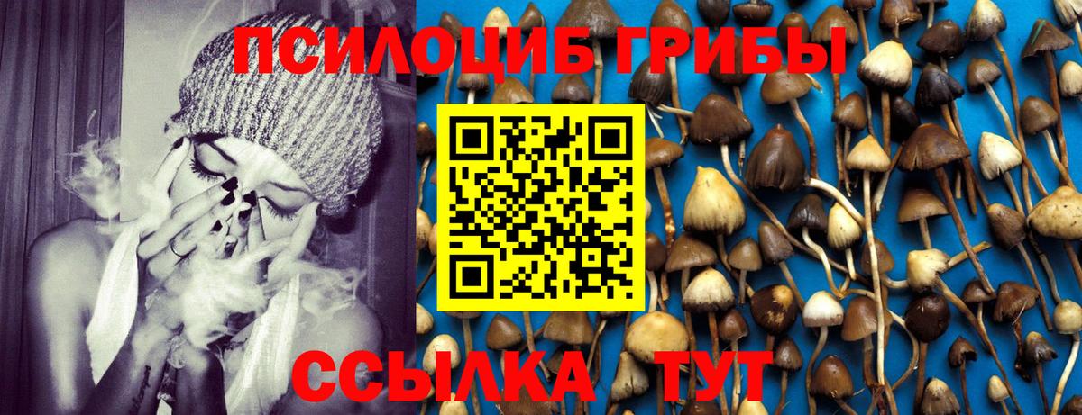 Псилоцибиновые грибы мухоморы Отрадное
